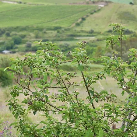 Luxury With Swimming Pool, By Timecooler *