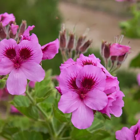 Luxury With Swimming Pool, By Timecooler