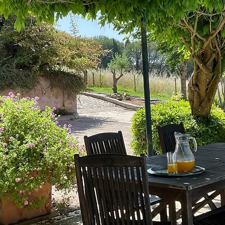 Willa Luxury With Swimming Pool, By Timecooler