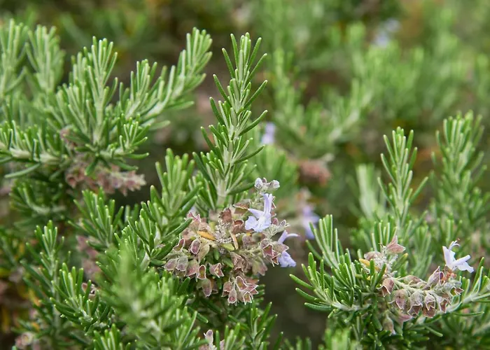 Luxury With Swimming Pool, By Timecooler * Sobral de Monte Agraco