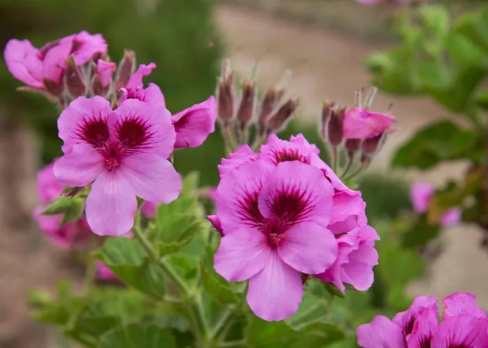 Luxury With Swimming Pool, By Timecooler